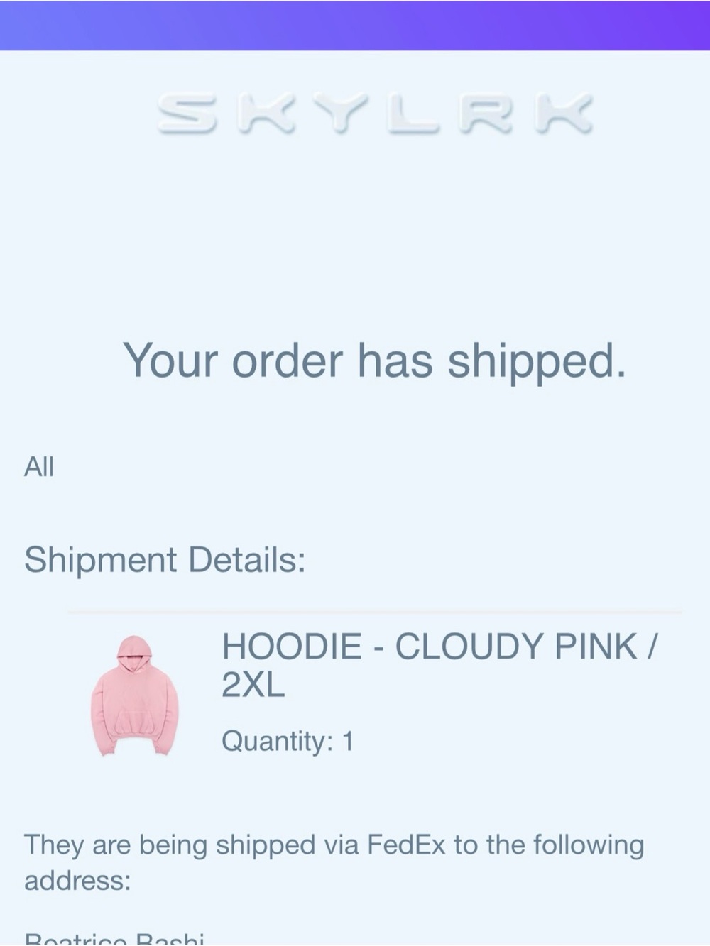 Cloudy Pink Hoodie Sweater - Women's Cozy Pullover / LIMITED LAUNCH